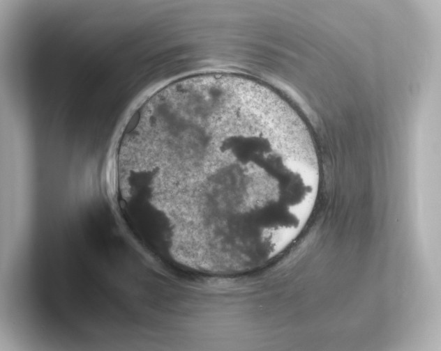 X0000101101371200807241019