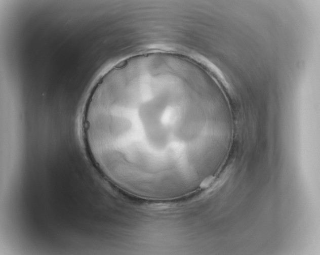 X0000101101373200807241019