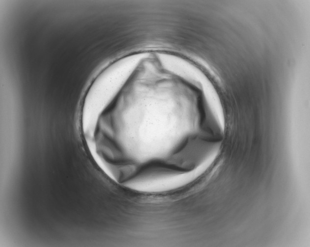 X0000101101374200807241019