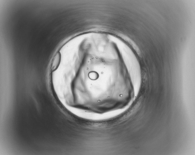 X0000101101375200807241019