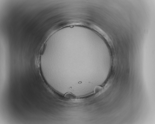 X0000101101377200807241019