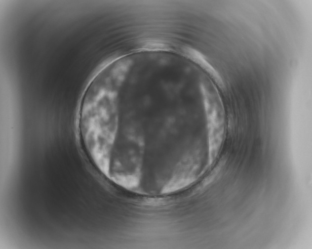 X0000101101378200807241019