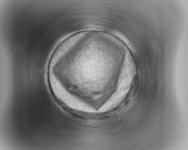 X0000101101379200807241019