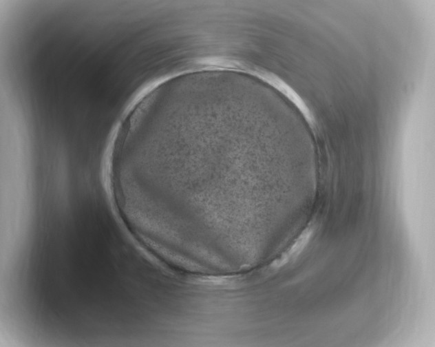 X0000101101381200807241019