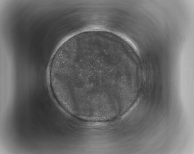 X0000101101382200807241019