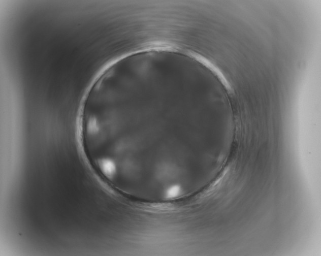 X0000101101383200807241019