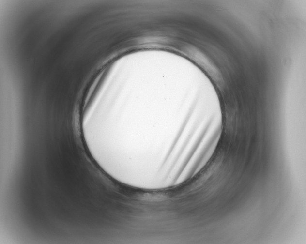 X0000101101384200807241019