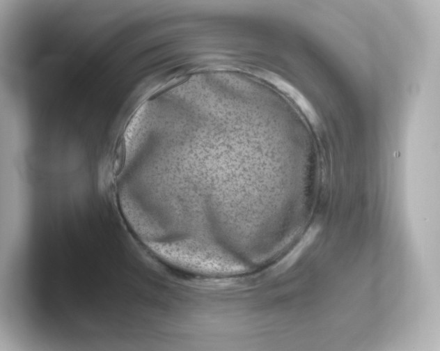 X0000101101385200807241019