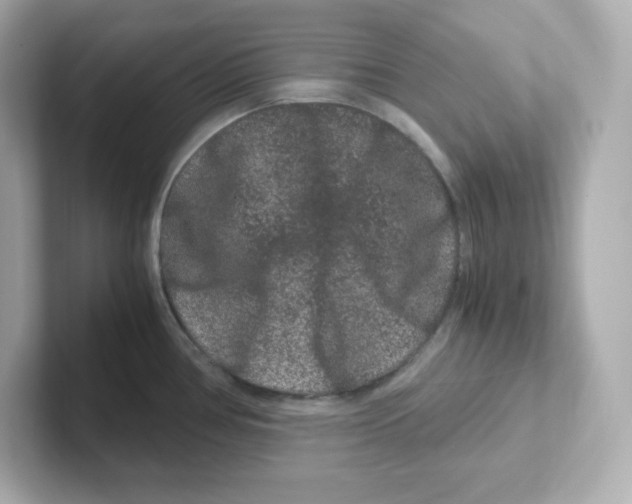 X0000101101386200807241019