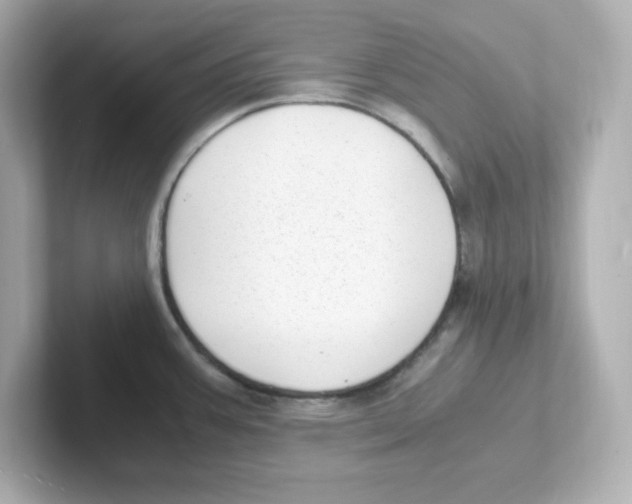 X0000101101387200807241019