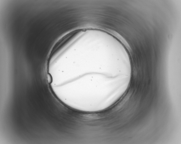 X0000101101388200807241019