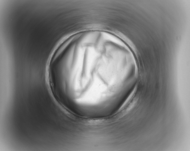 X0000101101389200807241019