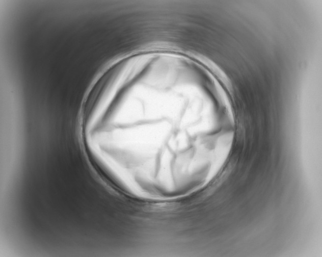 X0000101101390200807241019