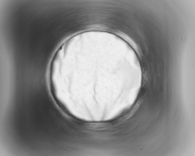 X0000101101391200807241019