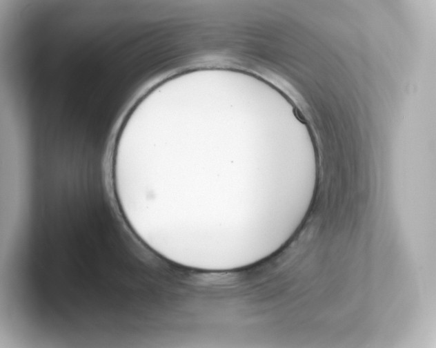 X0000101101392200807241019