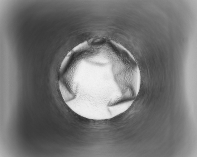 X0000101101393200807241018