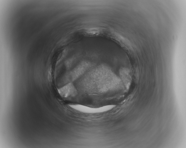 X0000101101394200807241018