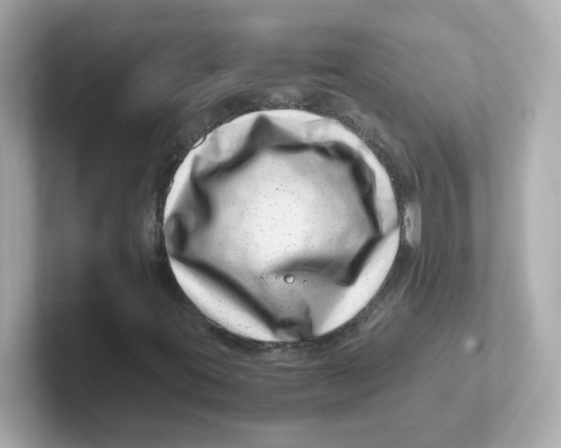 X0000101101395200807241018