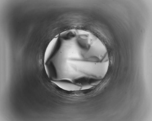 X0000101101396200807241018