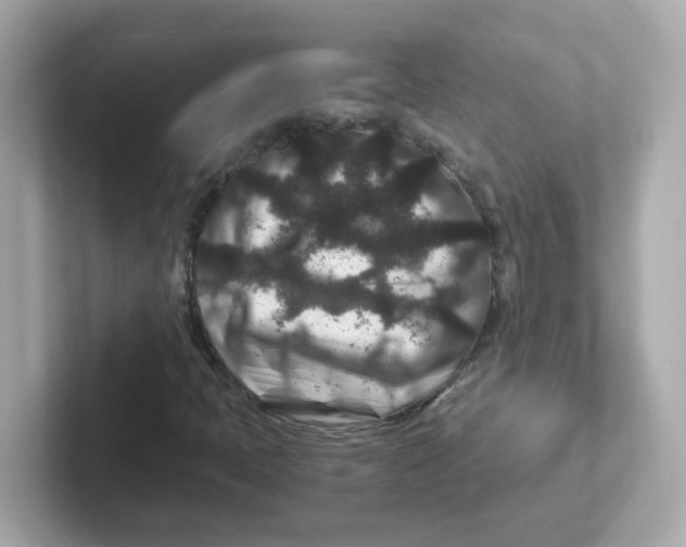 X0000101101397200807241018