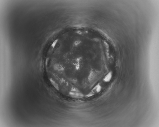 X0000101101398200807241018