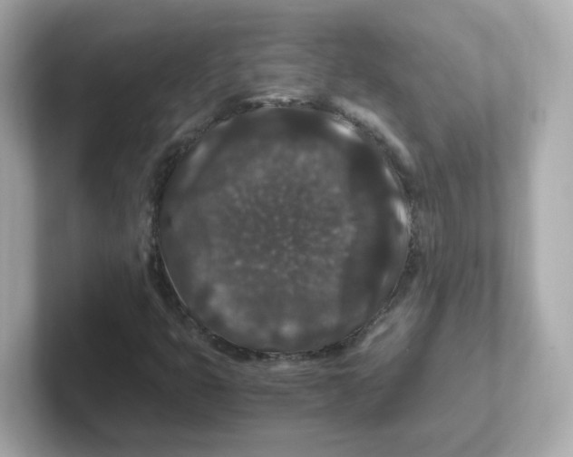 X0000101101399200807241018