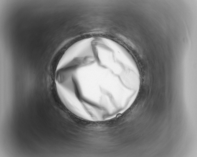 X0000101101400200807241018