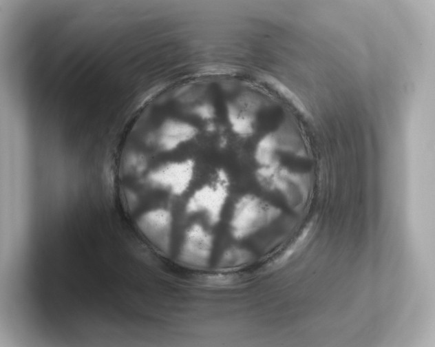 X0000101101401200807241018