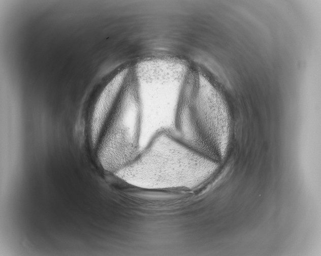 X0000101101402200807241018