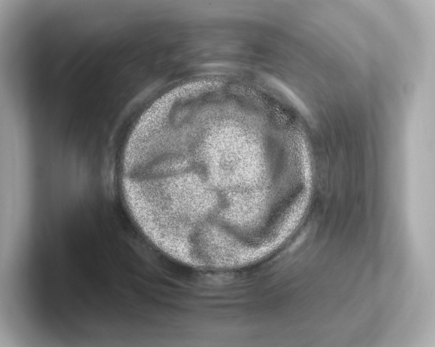 X0000101101403200807241018