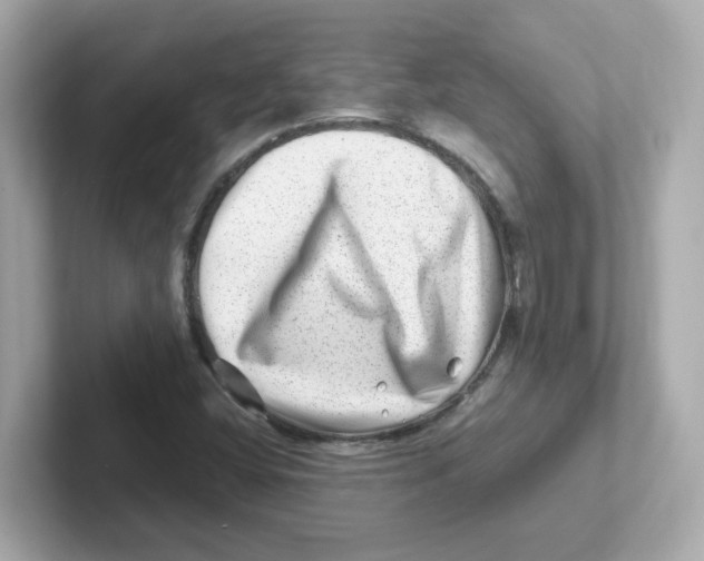 X0000101101404200807241018