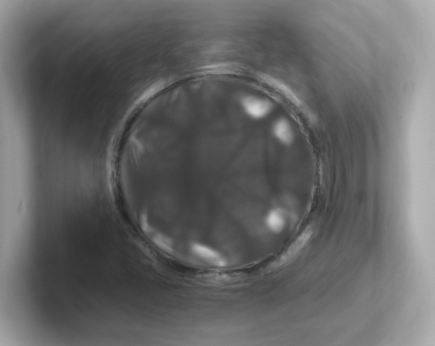X0000101101405200807241018