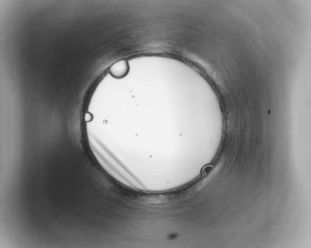 X0000101101410200807241019
