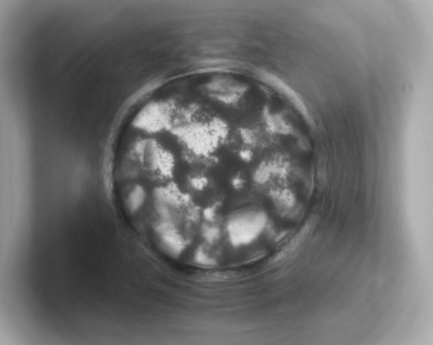 X0000101101411200807241019