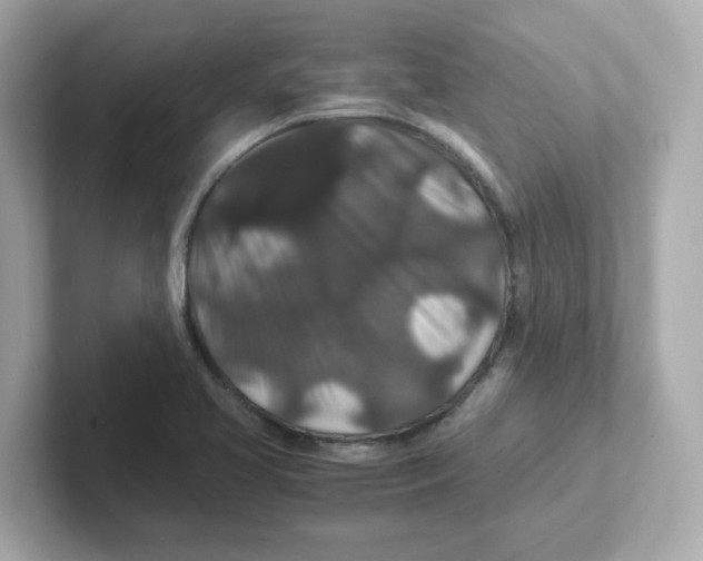 X0000101101413200807241019