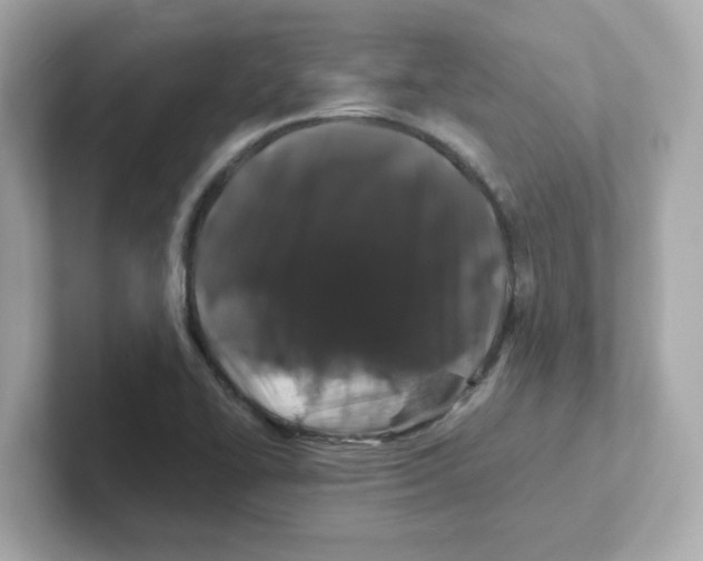 X0000101101414200807241019