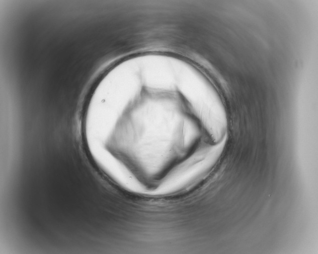 X0000101101416200807241019