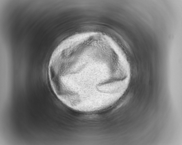 X0000101101417200807241019