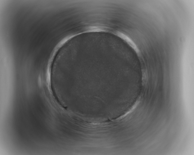 X0000101101419200807241019