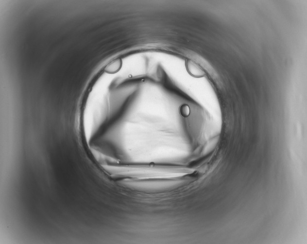 X0000101101420200807241019