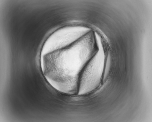 X0000101101421200807241019