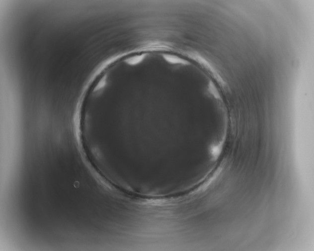 X0000101101422200807241019