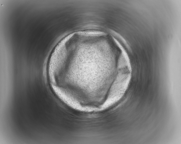 X0000101101423200807241019