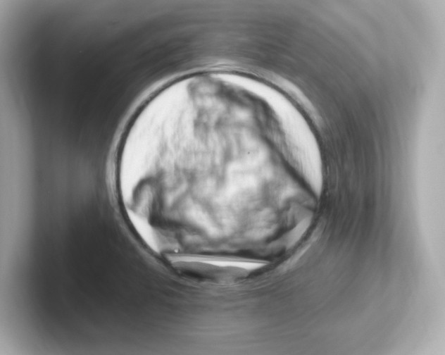 X0000101101424200807241019
