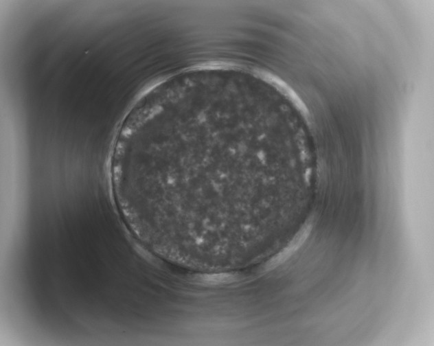 X0000101101425200807241019