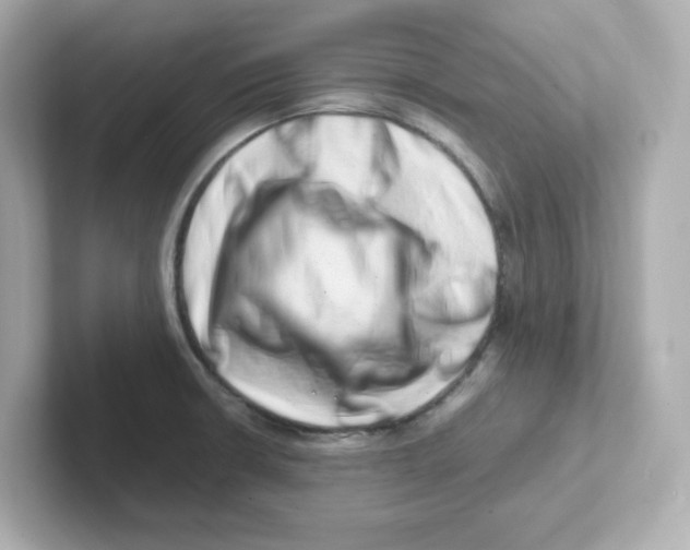 X0000101101426200807241019