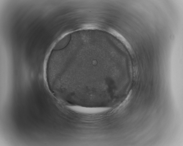 X0000101101427200807241019