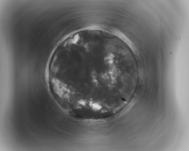 X0000101101428200807241019