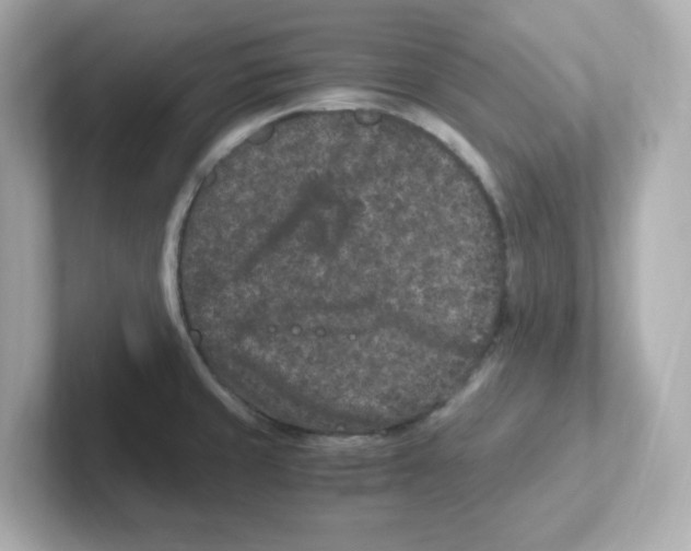 X0000101101429200807241019