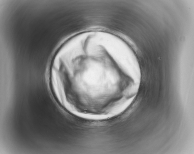 X0000101101430200807241019